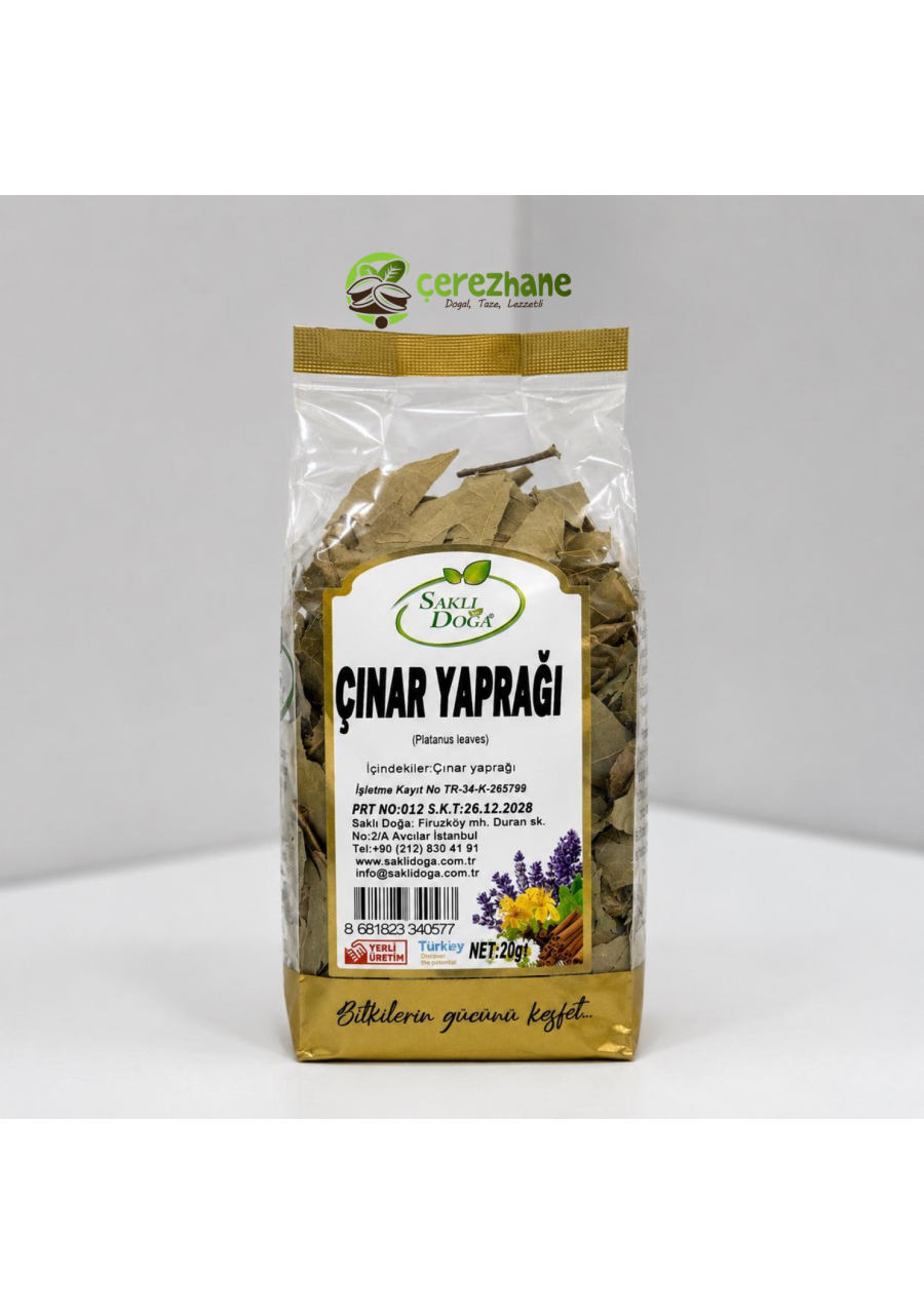 SaklıDoğa Çınar Yaprağı